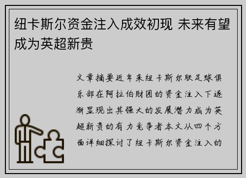 纽卡斯尔资金注入成效初现 未来有望成为英超新贵 纽卡斯尔资金注入成效初现 未来有望成为英超新贵