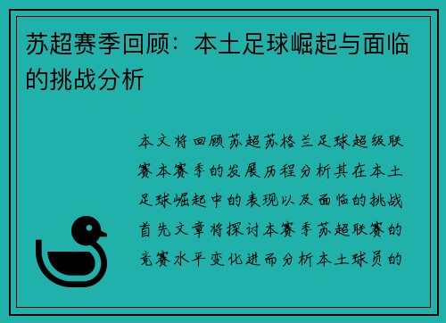 苏超赛季回顾:本土足球崛起与面临的挑战分析 苏超赛季回顾:本土足球崛起与面临的挑战分析